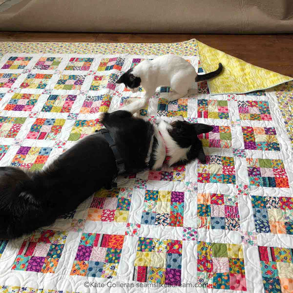 Ninth Square- strip quilt with puppy and cat playing on it